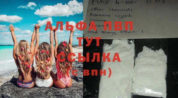 тгк Майский