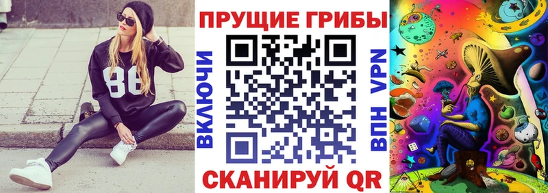 где купить наркотик  Южно-Сухокумск  Галлюциногенные грибы Psilocybe 